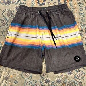 Quiksilver Men's Standard Resin Tint  16” Volley Swim Trunk Bathing Suit Sz Sm